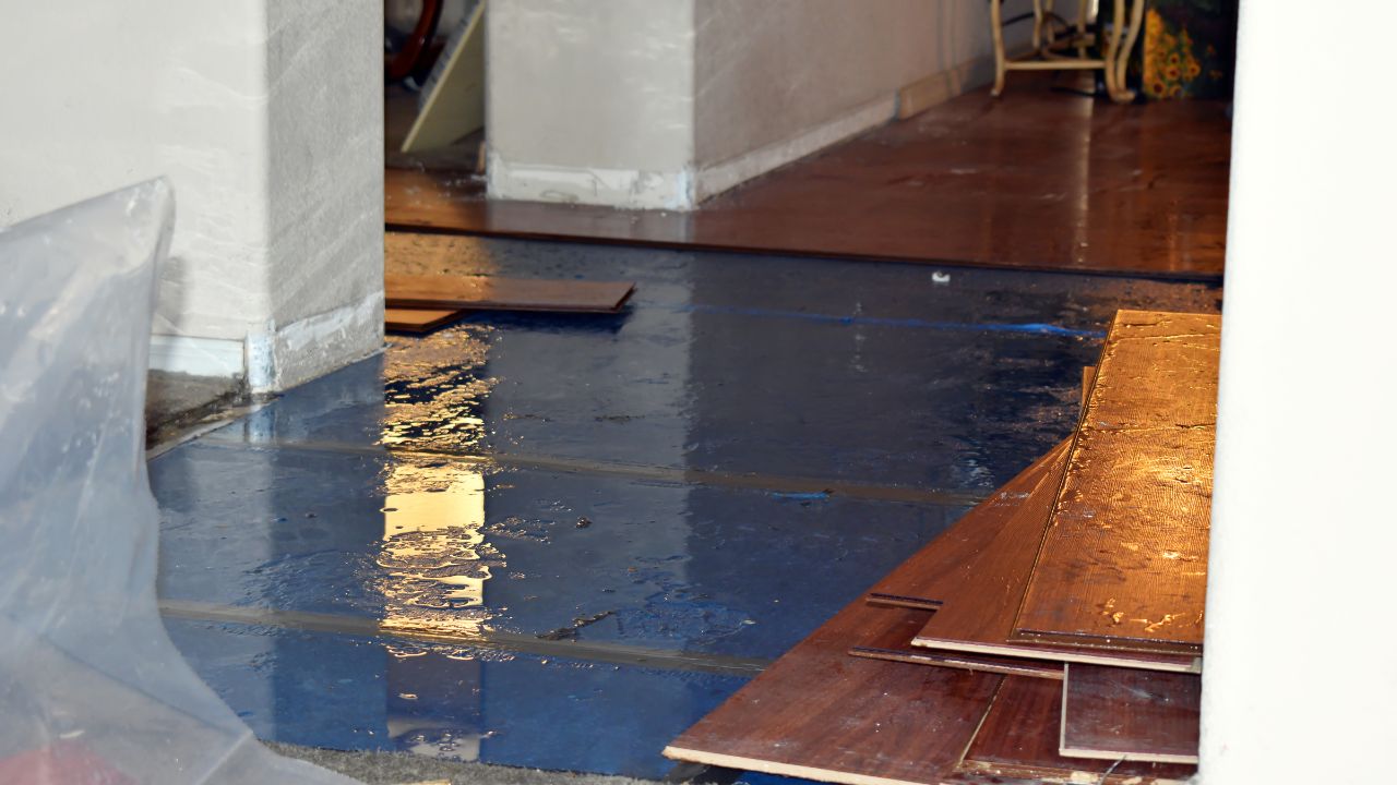 Flood Damage Cleanup Services Near Me